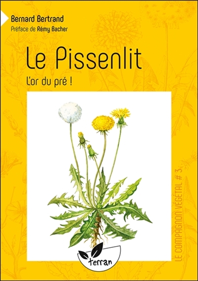 Le Pissenlit, l'or du pré! - Vol. 3