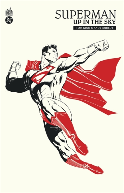 Superman: up in the sky