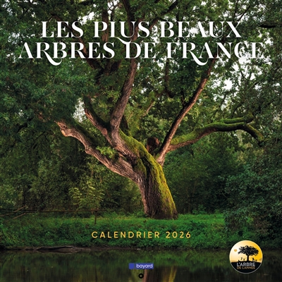 Calendrier des plus beaux arbres de France 2026 - Une idée cadeau pour Noël!