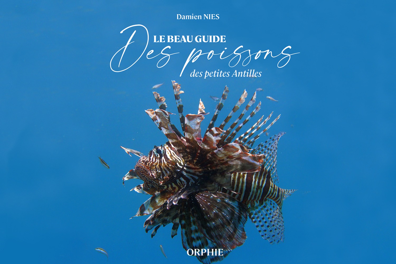 Le beau guide des poissons des petites antilles.