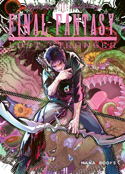 Final Fantasy: lost stranger. Vol. 11