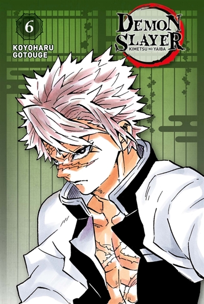 Demon slayer: Kimetsu no yaiba. Vol. 6