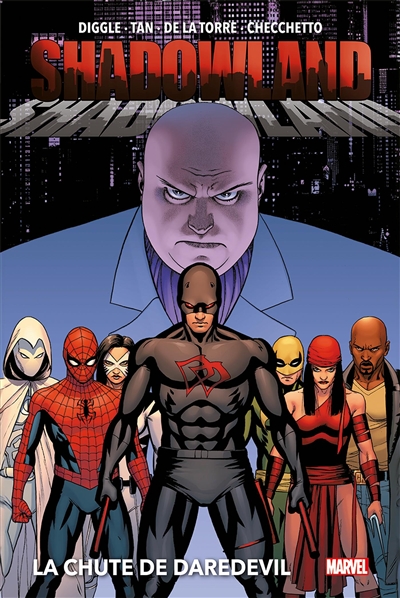 Shadowland: La chute de Daredevil (Nouvelle édition)