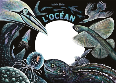 L'océan: une nuit...