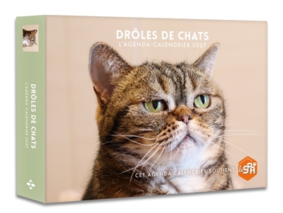 Drôles de chats: Agenda: Calendrier - Semainier 2027