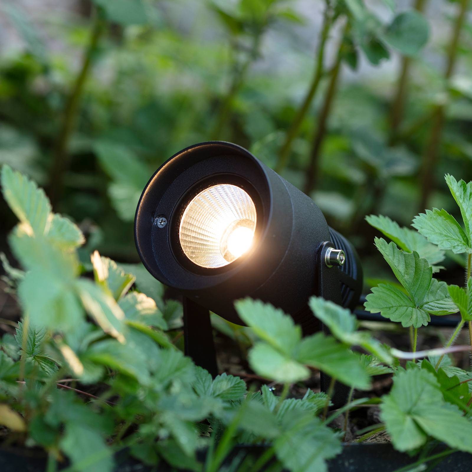Markslöjd Spot LED Garden 24, noir, 6 watts