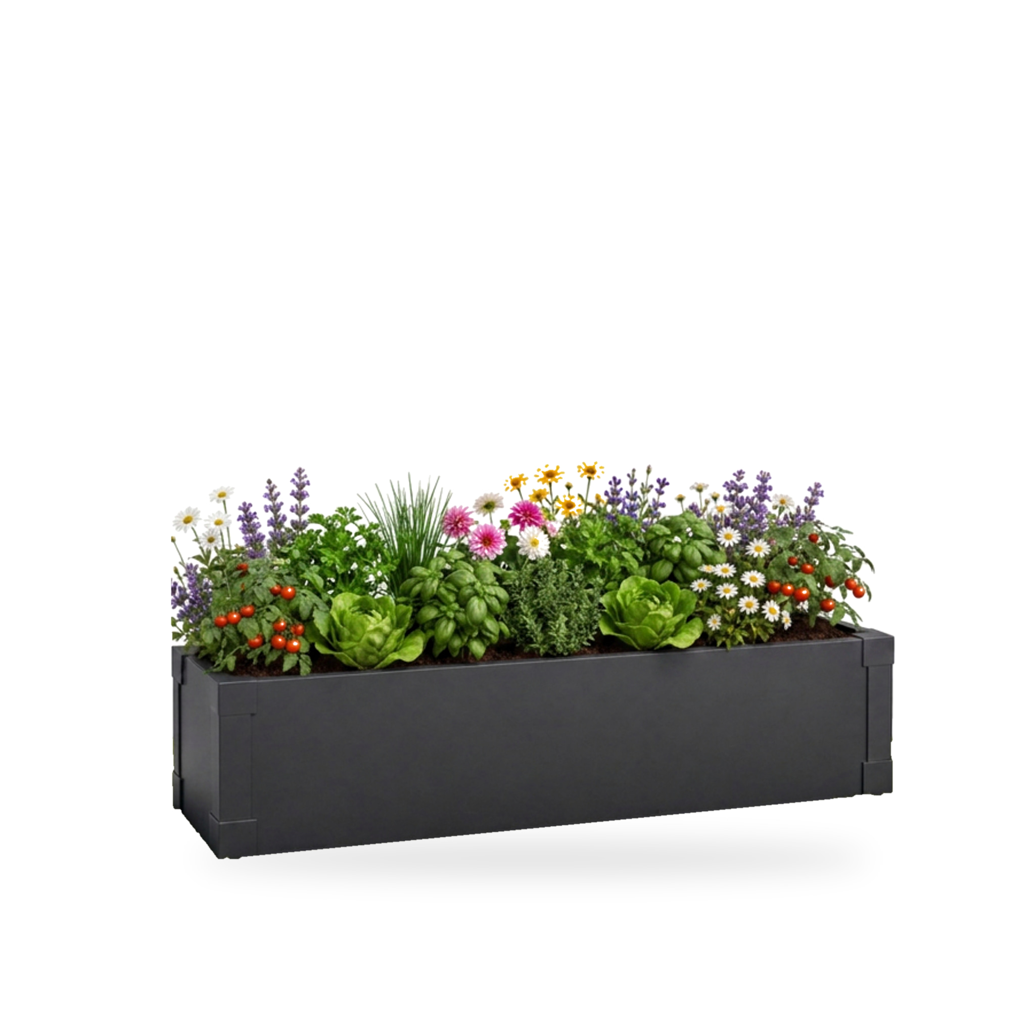 Bac Potager Surélevé Andros - Bac Potager Métallique Étroit Anthracite Pour Balcon, Terrasse Et Jardin - 100 × 25 × 27 Cm