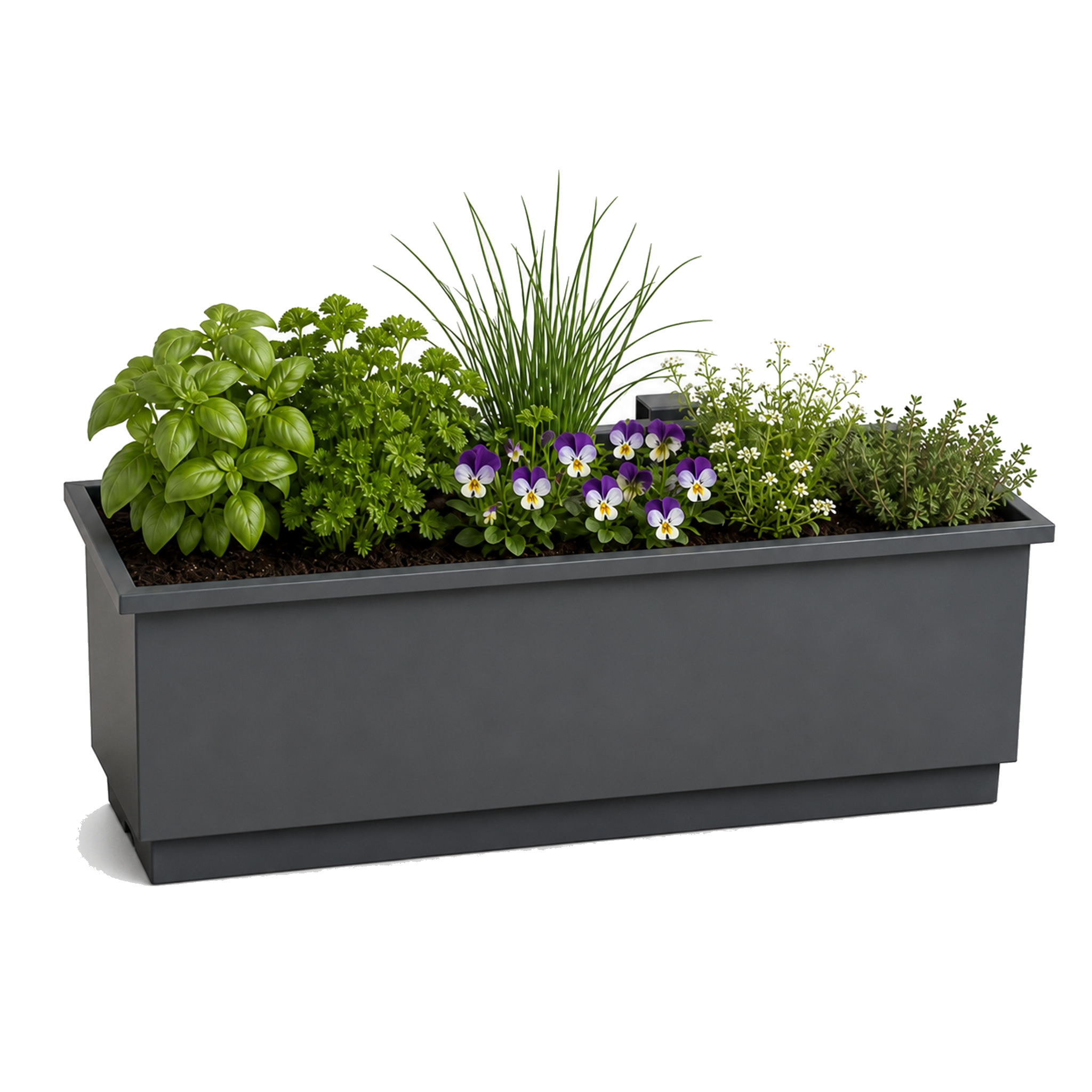 Jardinière De Balcon Viola Jardinière En Métal Avec Bac Récupérateur Pour Balcon & Garde-corps