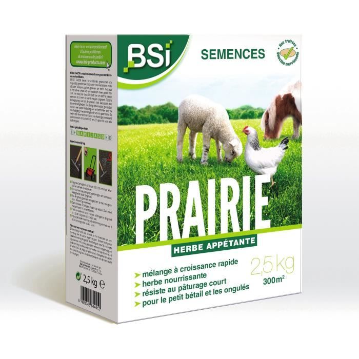 Semences De Gazon Prairie Haute Qualité Grande Surface Jusqu'a 375m² 7,5kg
