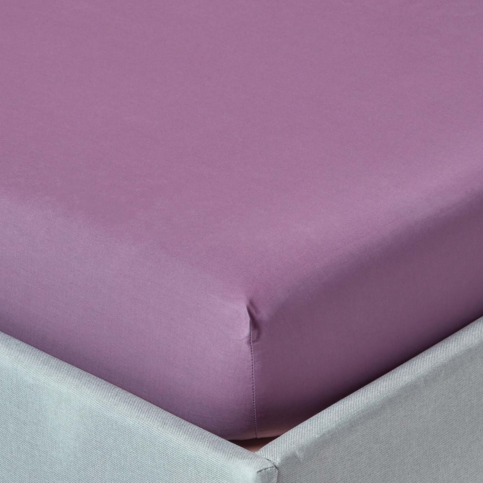 Drap-housse 46cm 180x200cm Raisin Coton Égyptien 200tc Homescapes