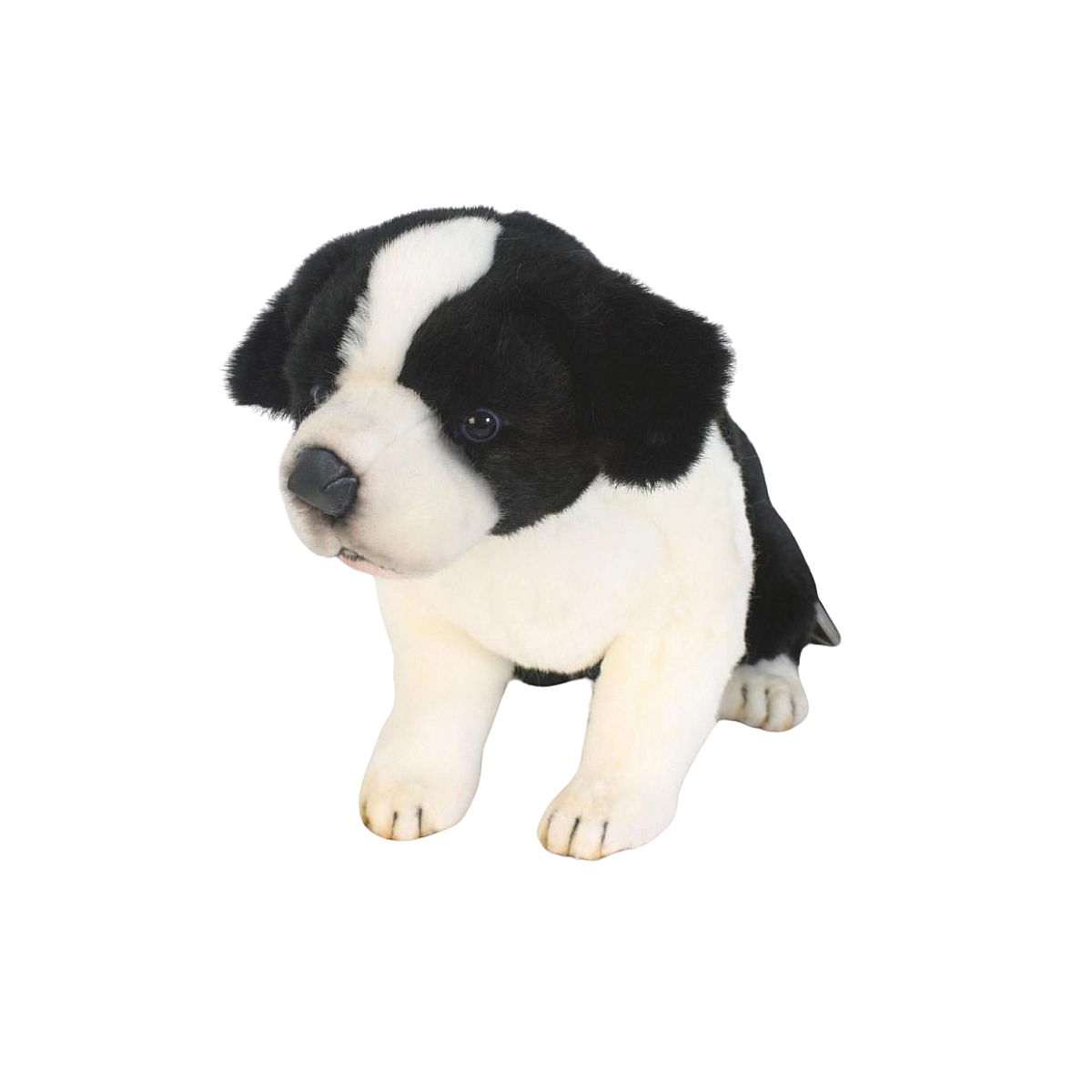 Peluche Chien Anima Border Collie Bébé Assis 25 Cm Multicolor Autres