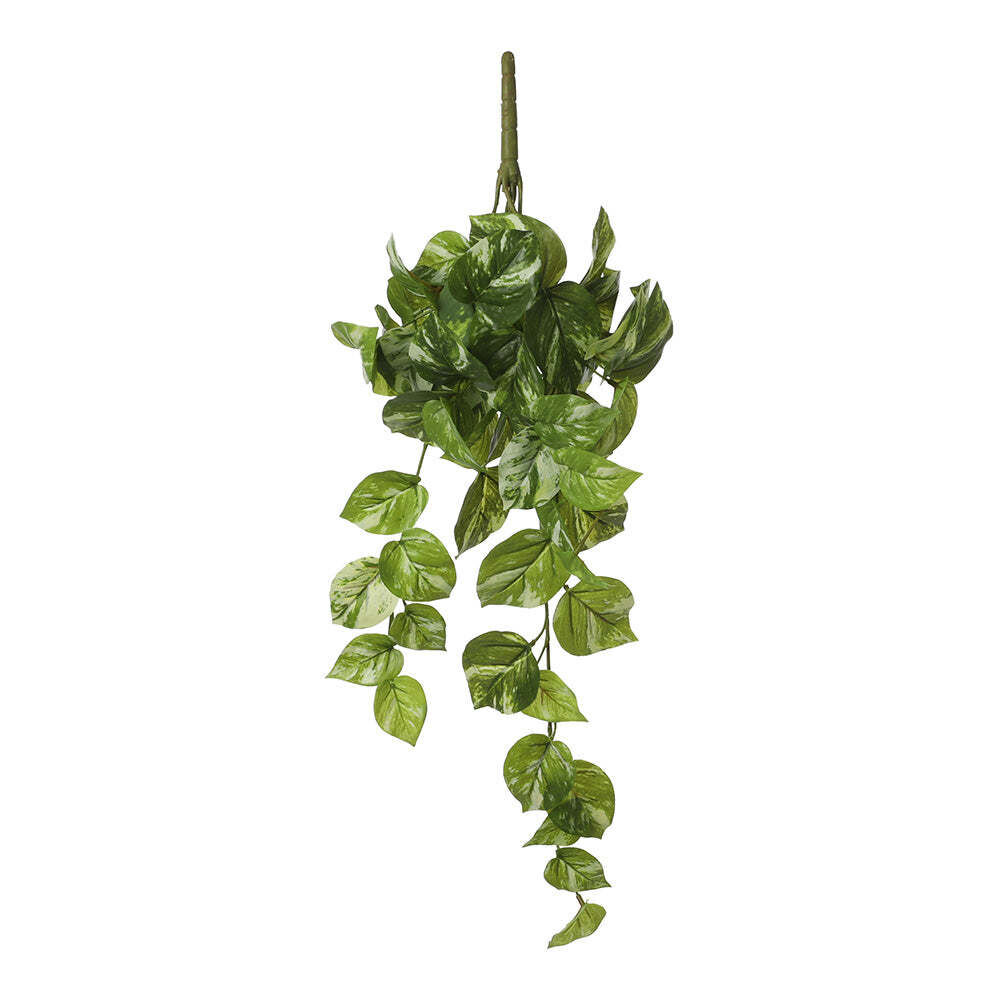 Potos Pendentif Couleur Vert 14x58x20cm