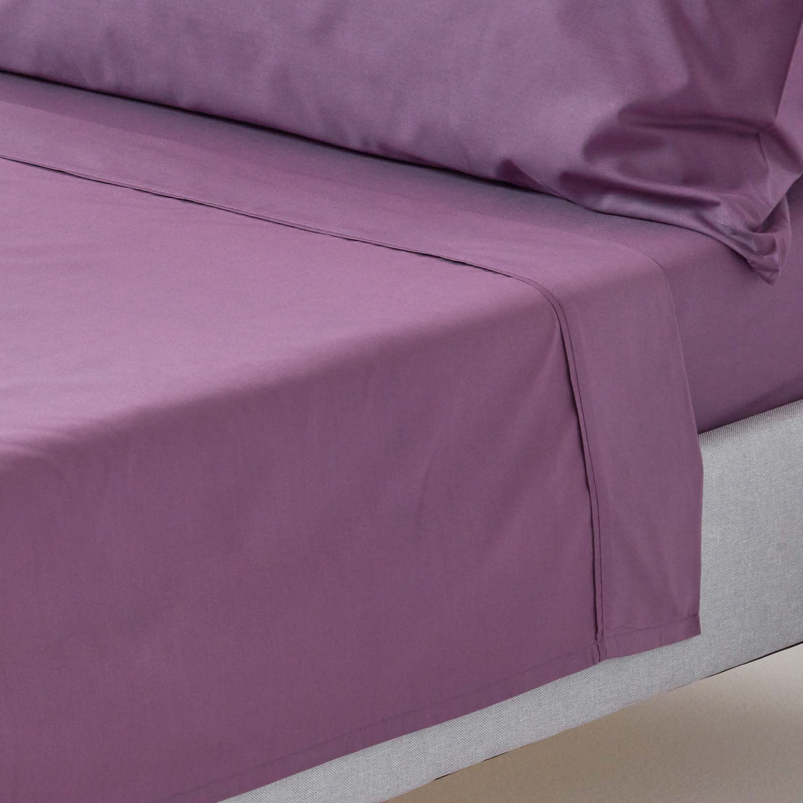 Drap Plat 240x300cm Raisin Coton Égyptien 200tc Homescapes