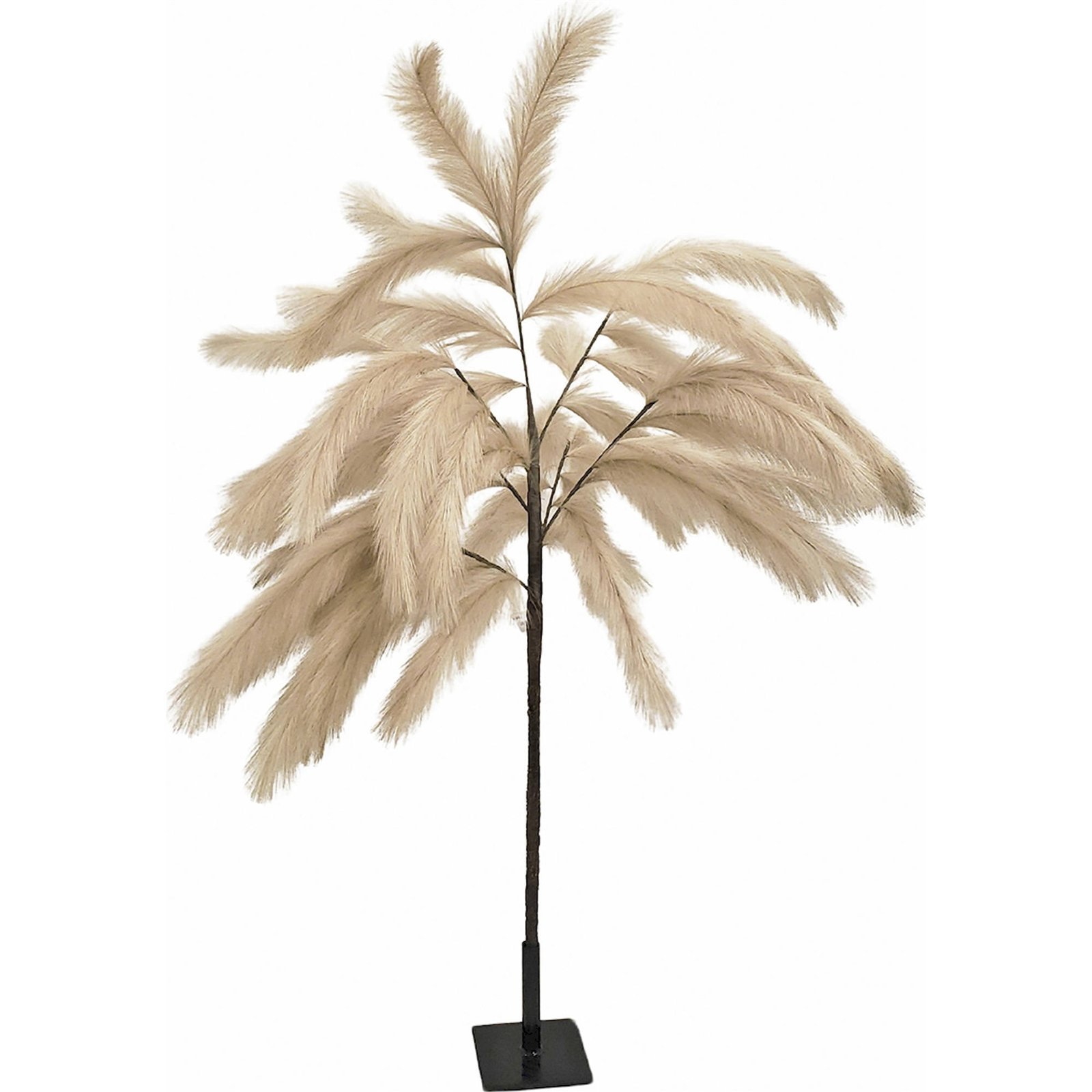 Arbre Pampas Beige Élégant Pour Décoration Florale Raffinée - Beige Naturel Pampas