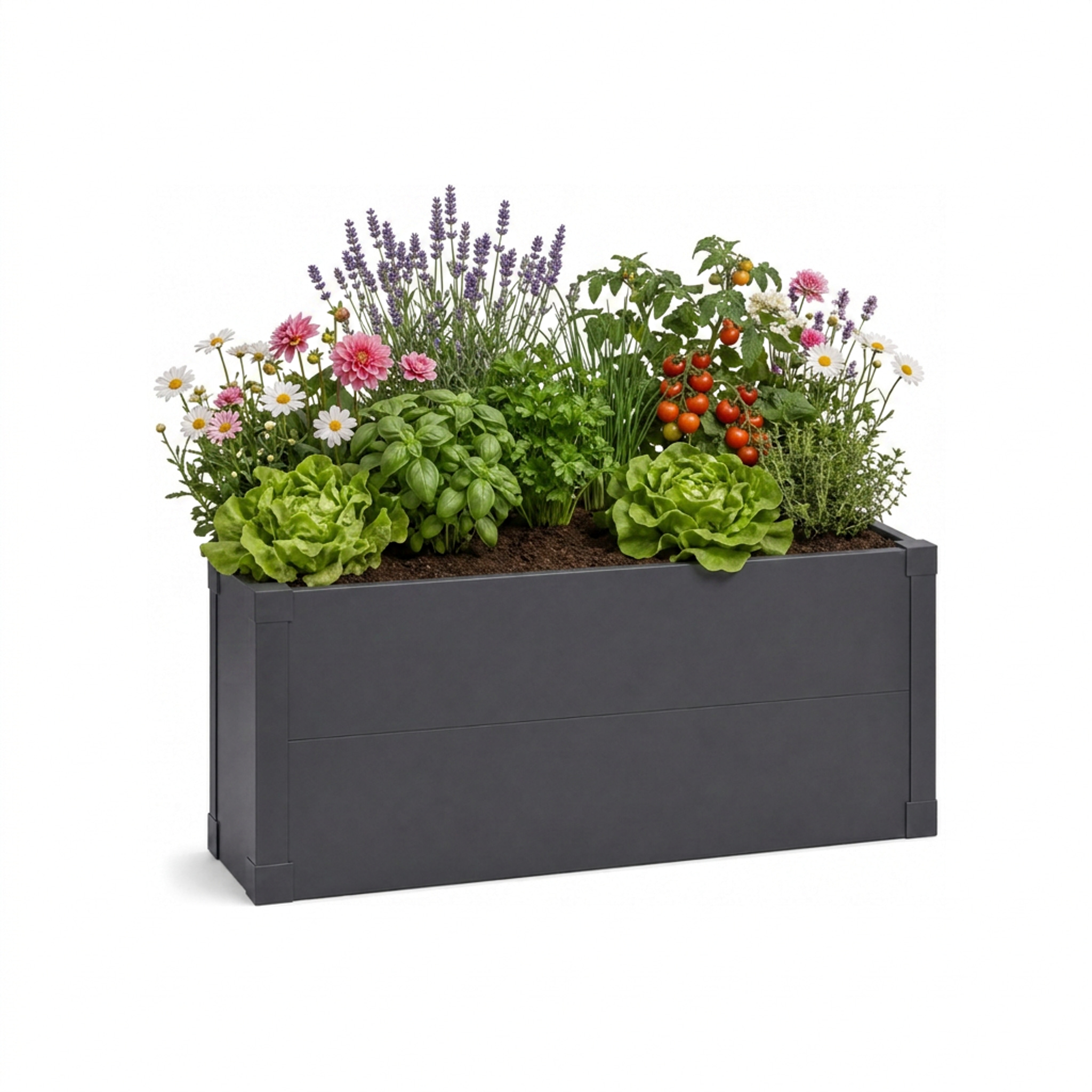 Bac Potager Surélevé Andros - Bac Potager Métallique Étroit Anthracite Pour Balcon, Terrasse Et Jardin - 100 × 25 × 52 Cm