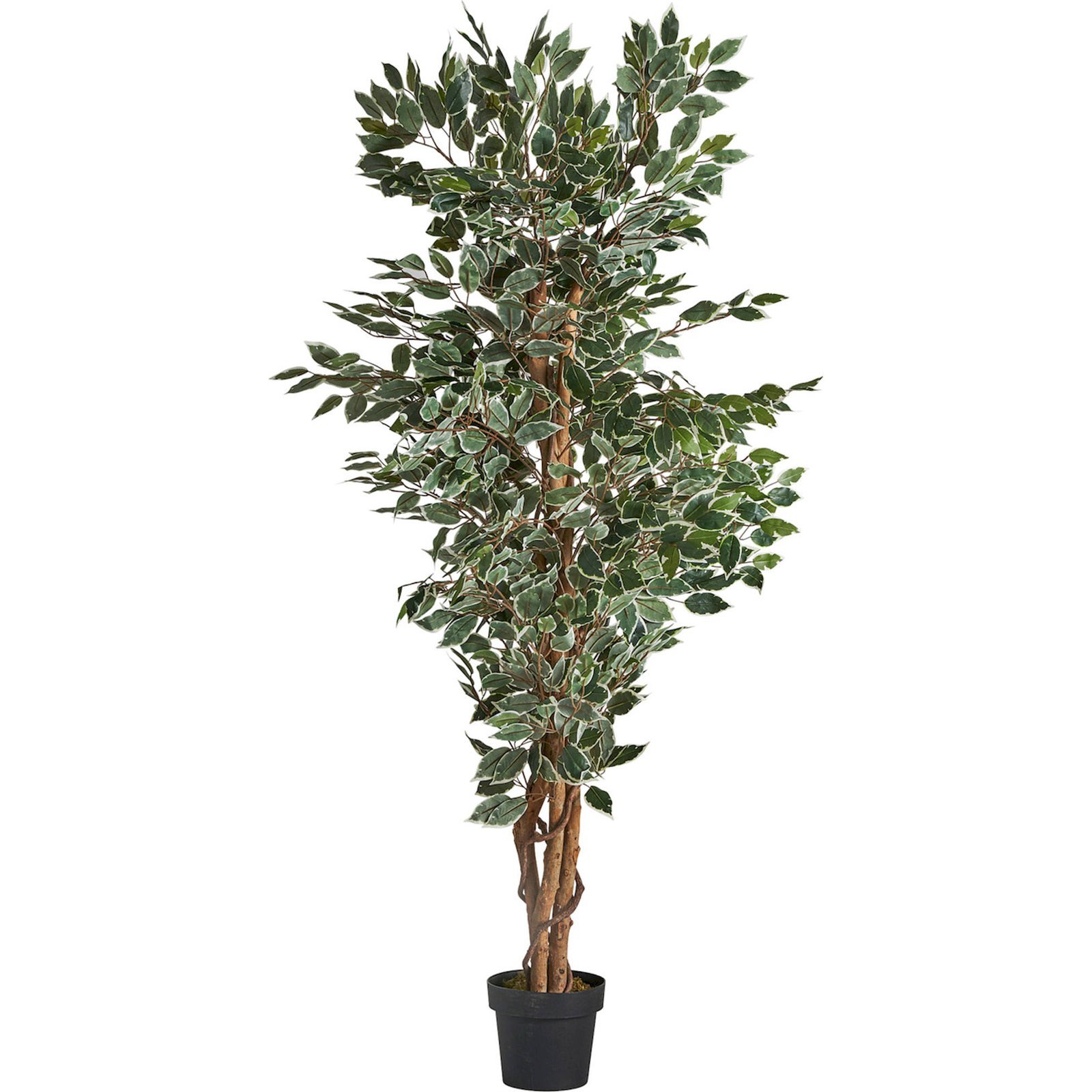 Ficus Artificiel Feuillage Exotique Style Colonial Vert Naturel - Vert Feuillage Naturel Et Tronc Marron