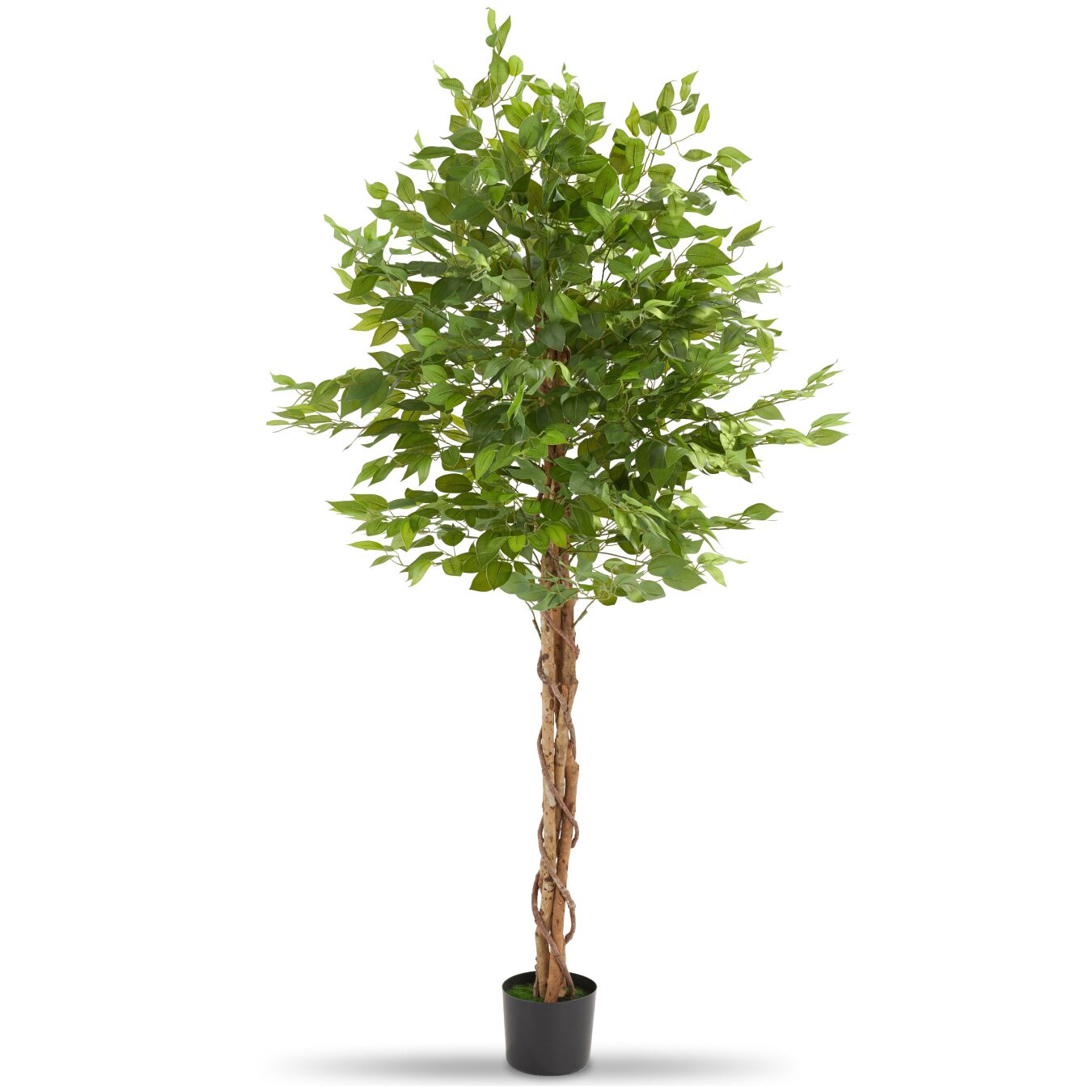 Ficus Artificiel À L'aspect Naturel Avec Beaucoup De Volume 180cm
