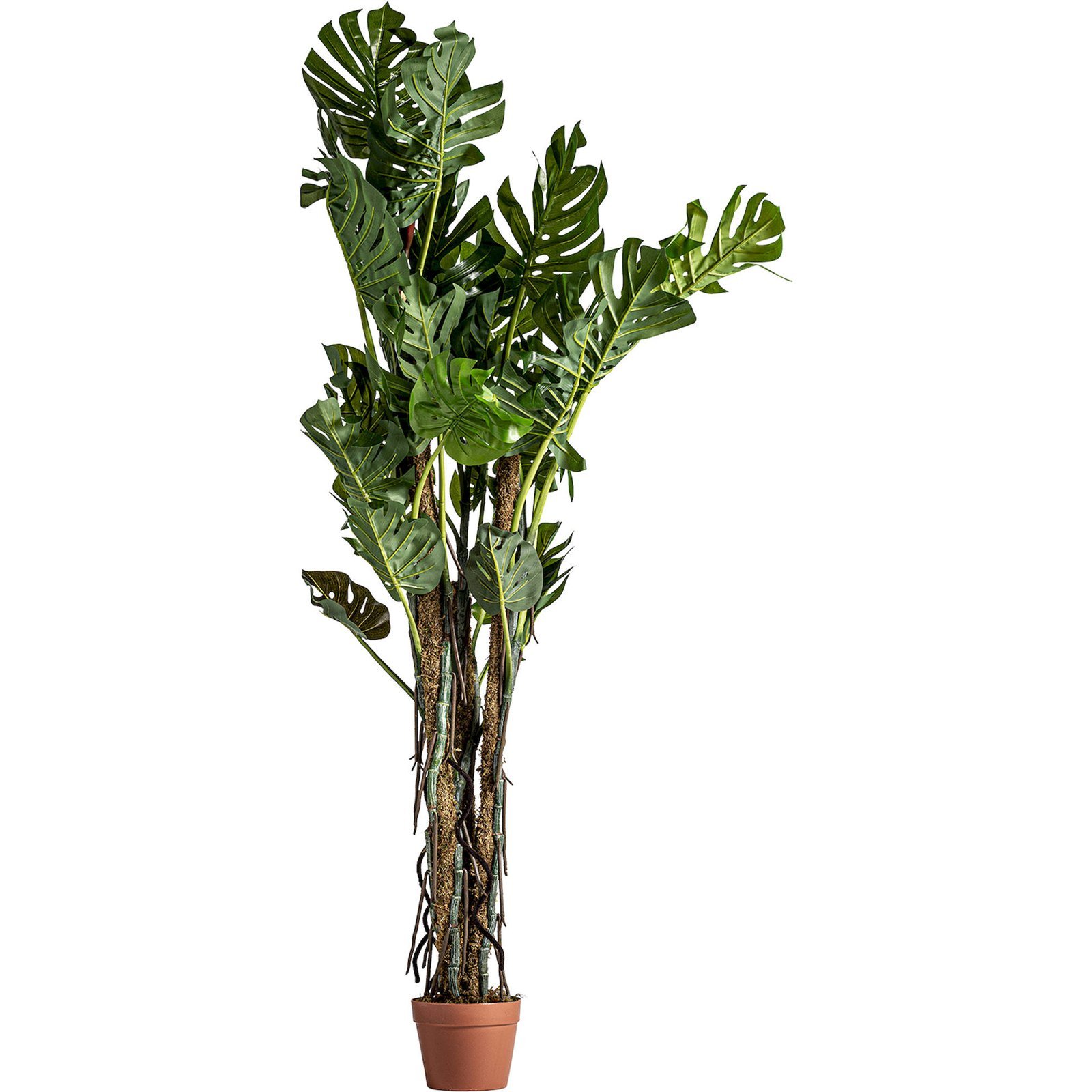 Plante Split Philo Verte Décorative Style Shabby Chic Vieilli - Vert Feuillage Vieilli Naturel