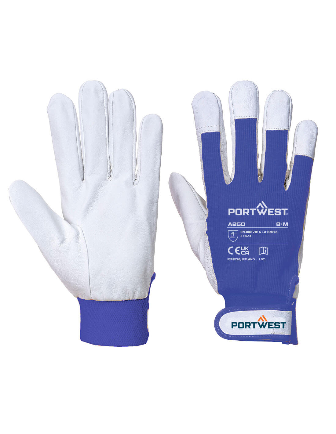 Tergsus Glove - M - Bleu - Portwest