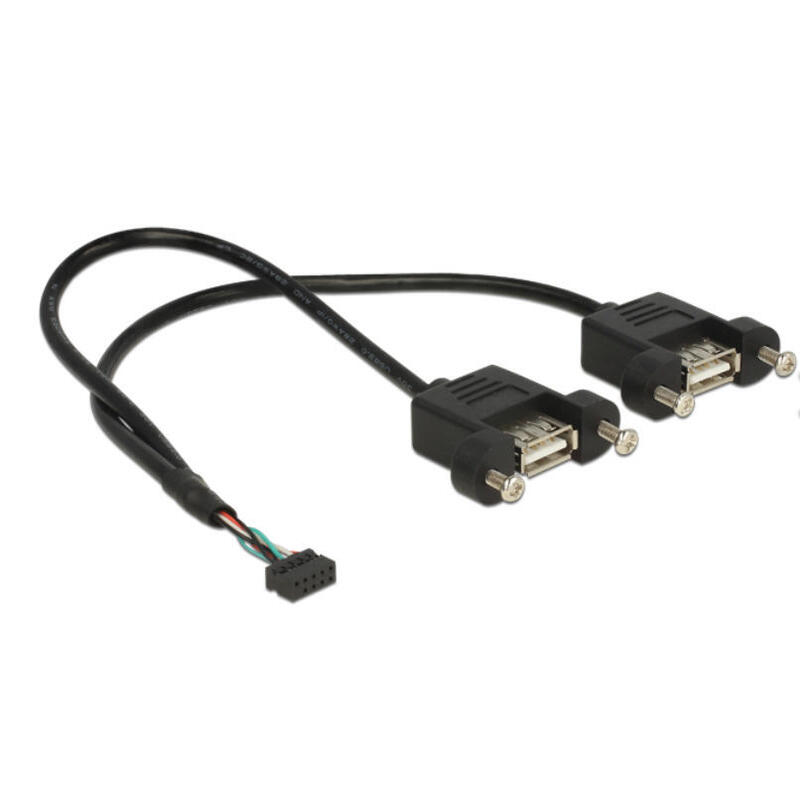 Cable Usb 2.0 Femelle Delock 10 Broches 2,00 Mm 2 X Usb 2.0 Type A Femelle Montage Sur Panneau 25 Cm