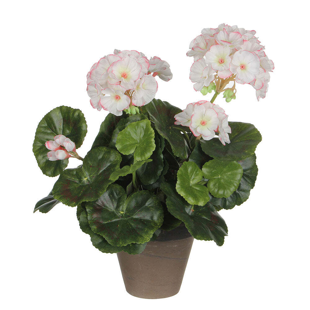 Géranium Artificiel Blanc Rose En Pot Plastique Gris