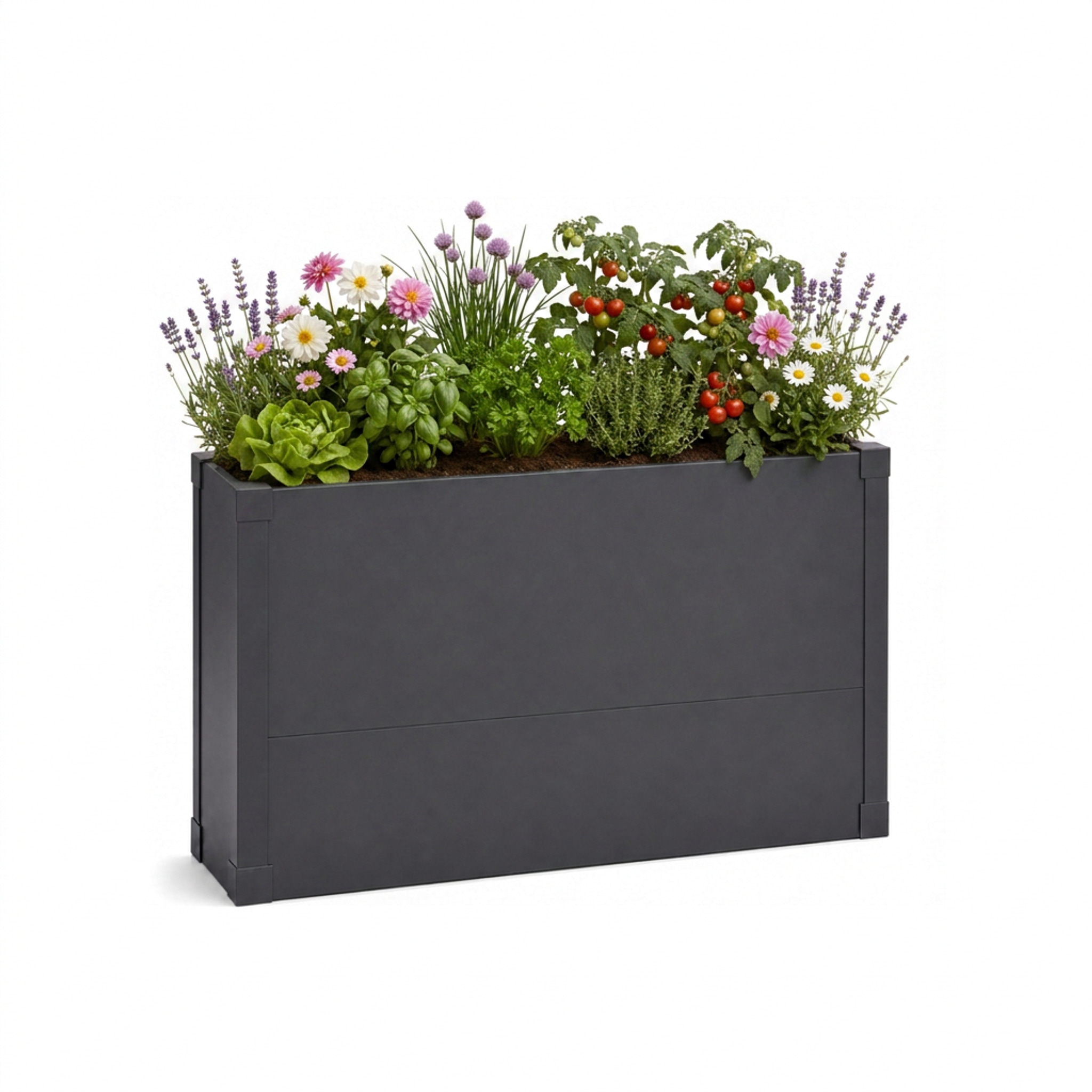 Bac Potager Surélevé Andros - Bac Potager Métallique Étroit Anthracite Pour Balcon, Terrasse Et Jardin - 100 × 25 × 77 Cm