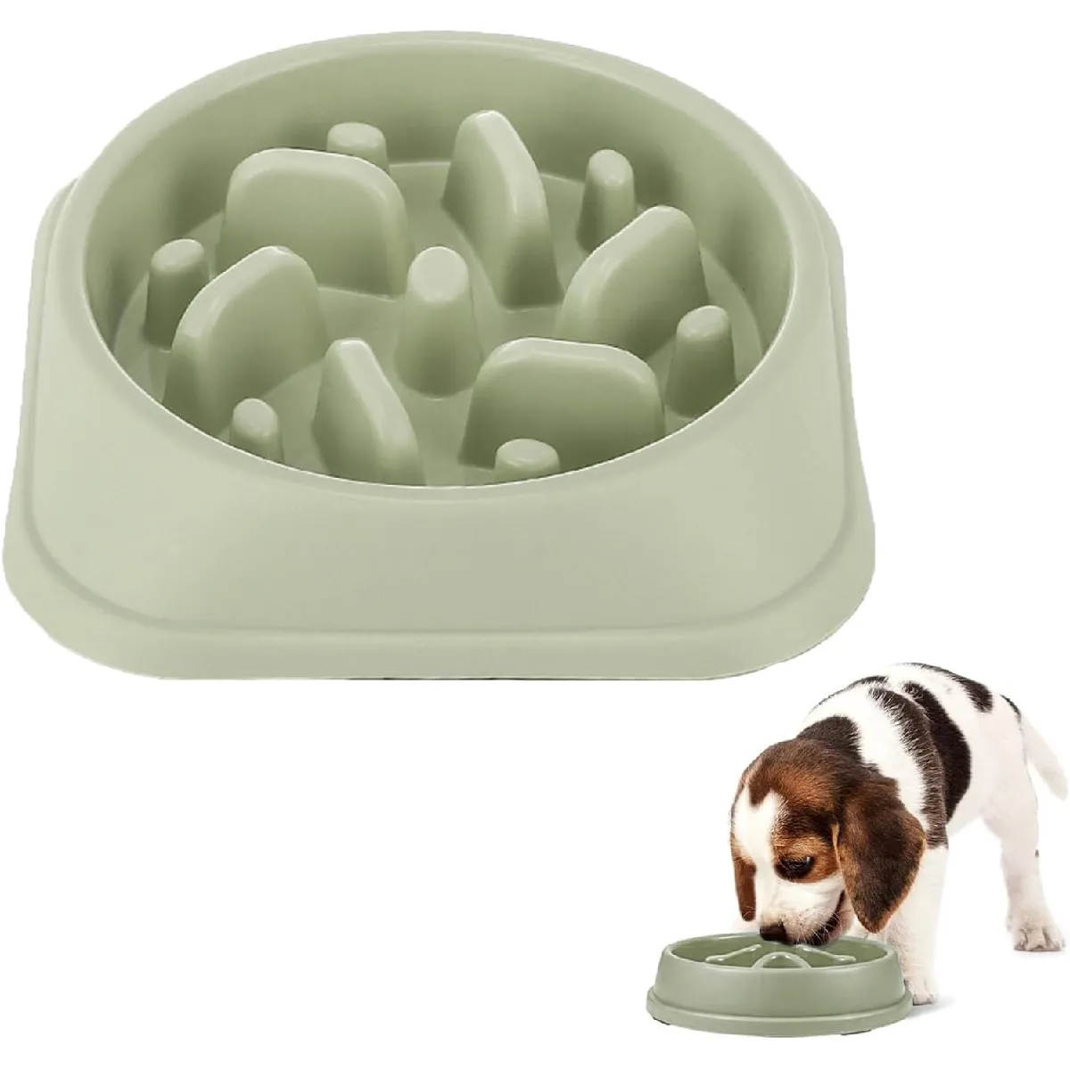 Gamelle Anti Glouton Chien Vert Clair