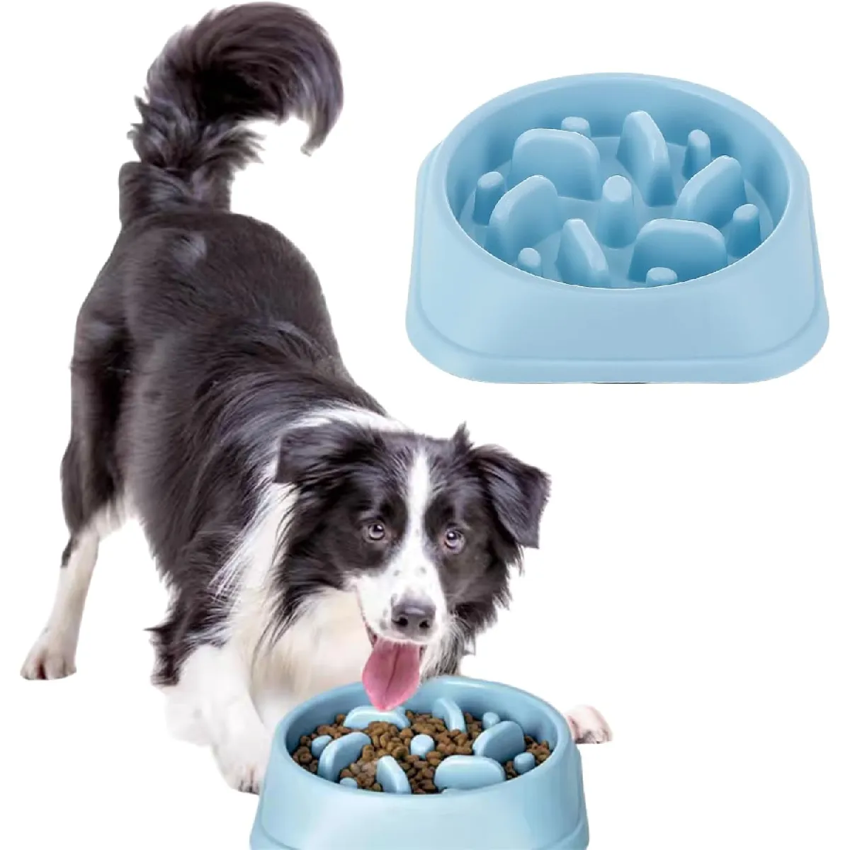 Gamelle Anti Glouton Chien Bleu