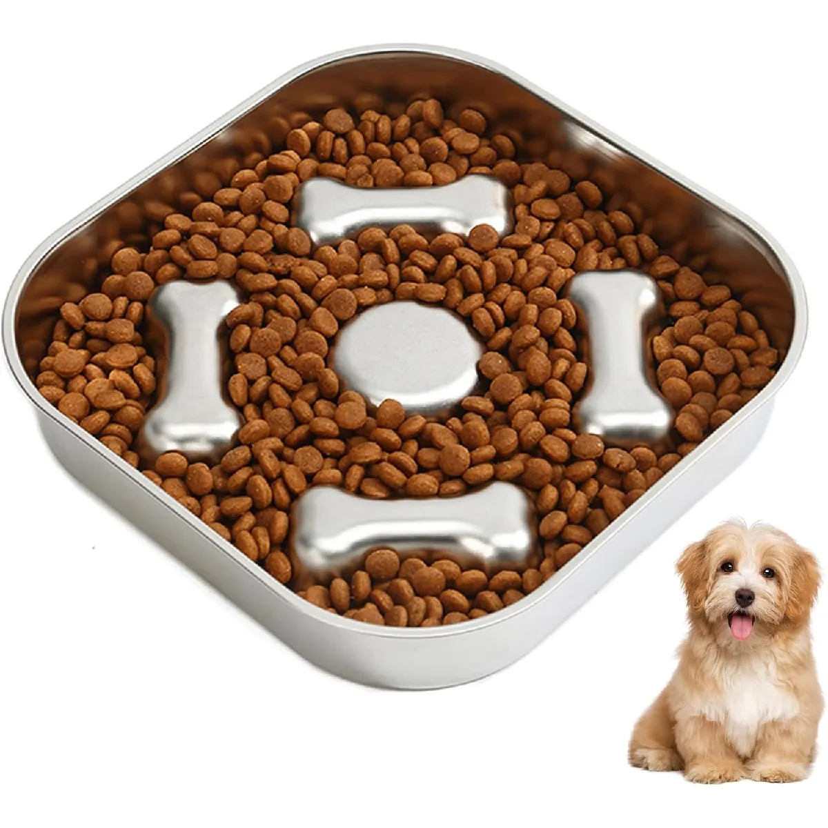 Gamelle Anti Glouton Chien Inoxydable