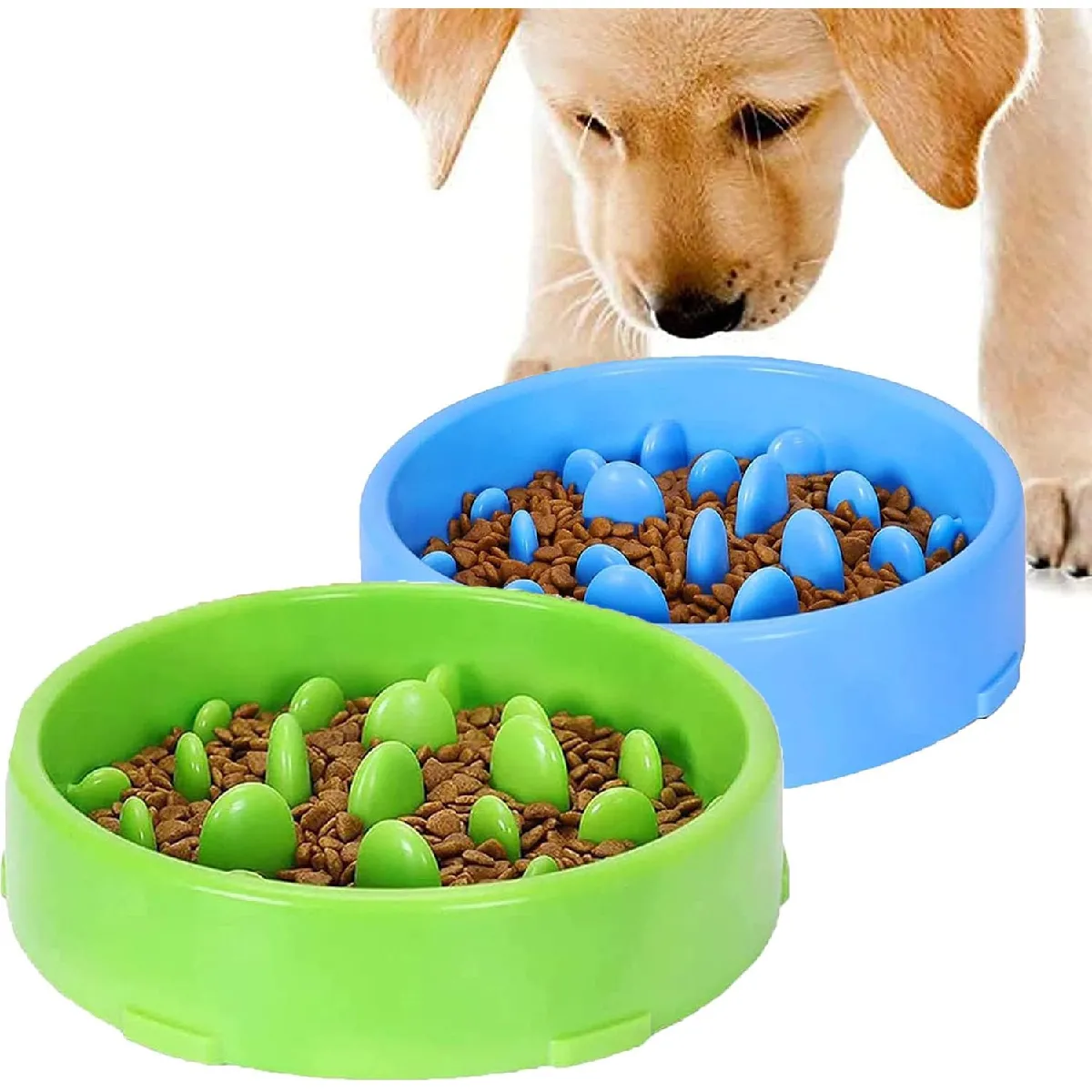 Lot De 2 Gamelles Interactives Pour Chien Bleu Vert
