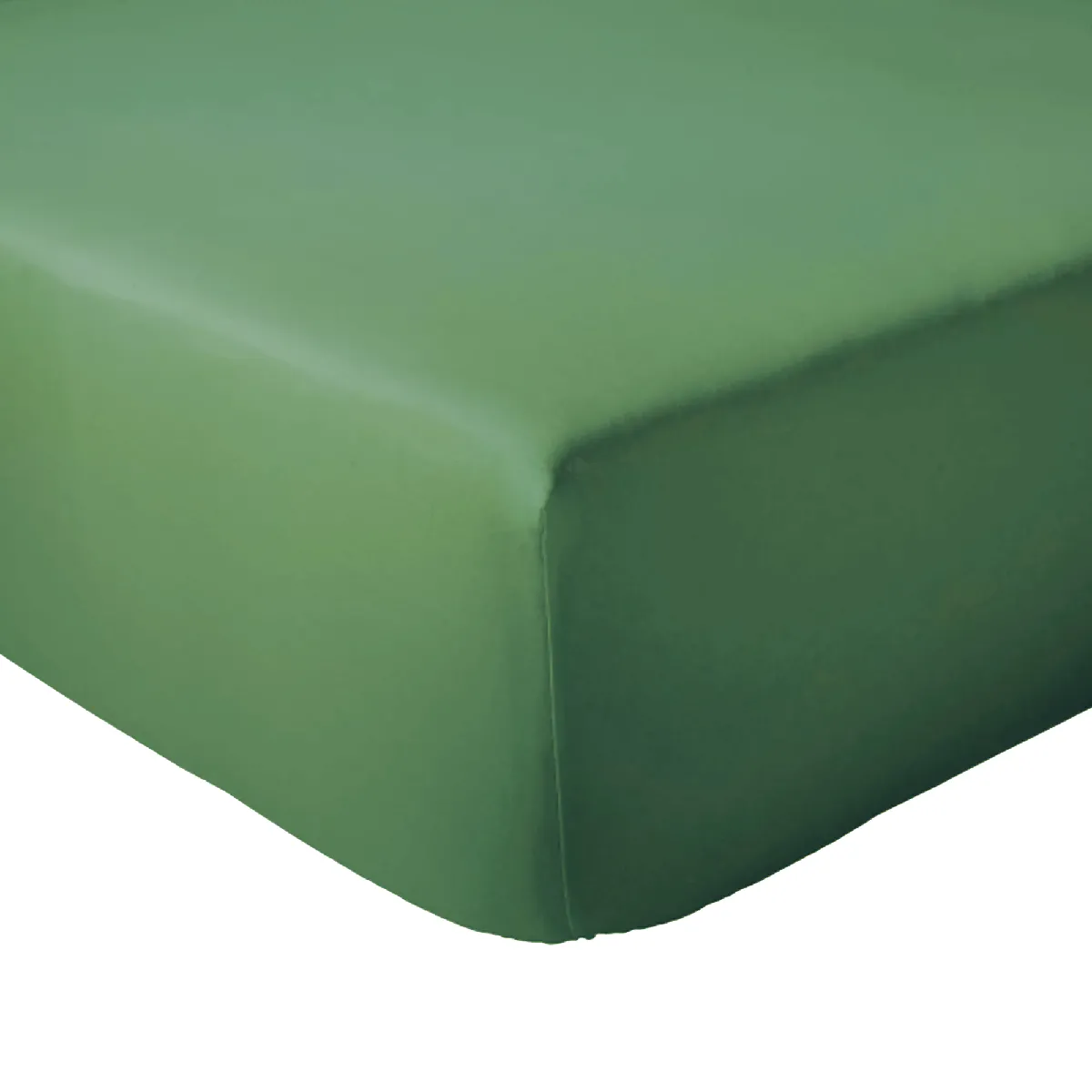 Drap Housse 140x200 Cm Bonnet 30 Coton Évasion Vert Fougère