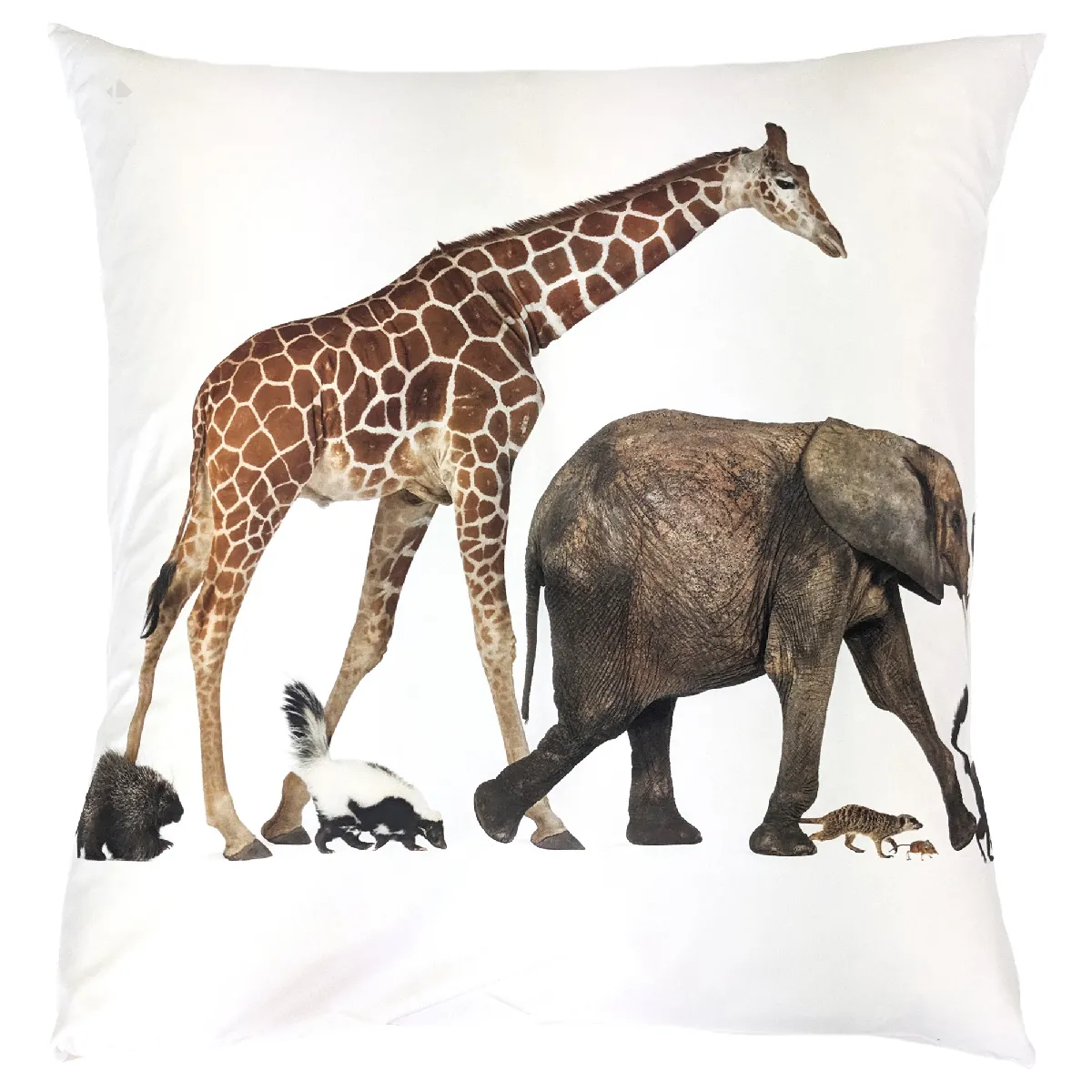 Taie D'oreiller Imprimée 65x65 Cm En 100% Percale De Coton Noé Blanc