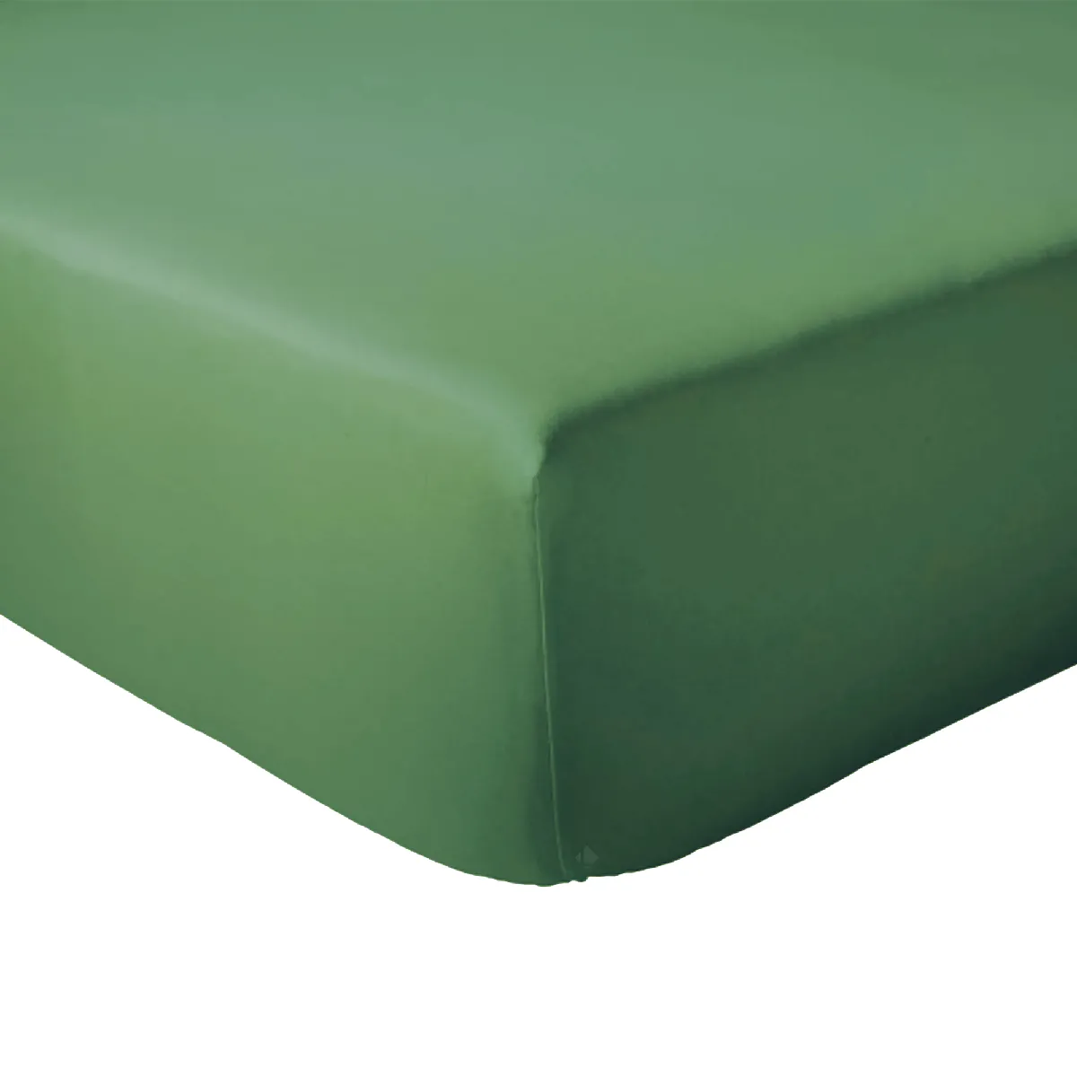Drap Housse 80x200 Cm Bonnet 30 Coton Évasion Vert Fougère
