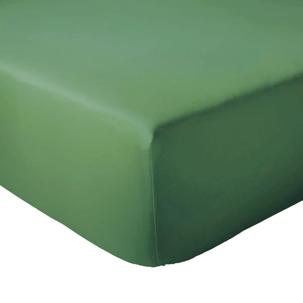 Drap Housse 180x200 Cm Bonnet 30 Coton Évasion Vert Fougère