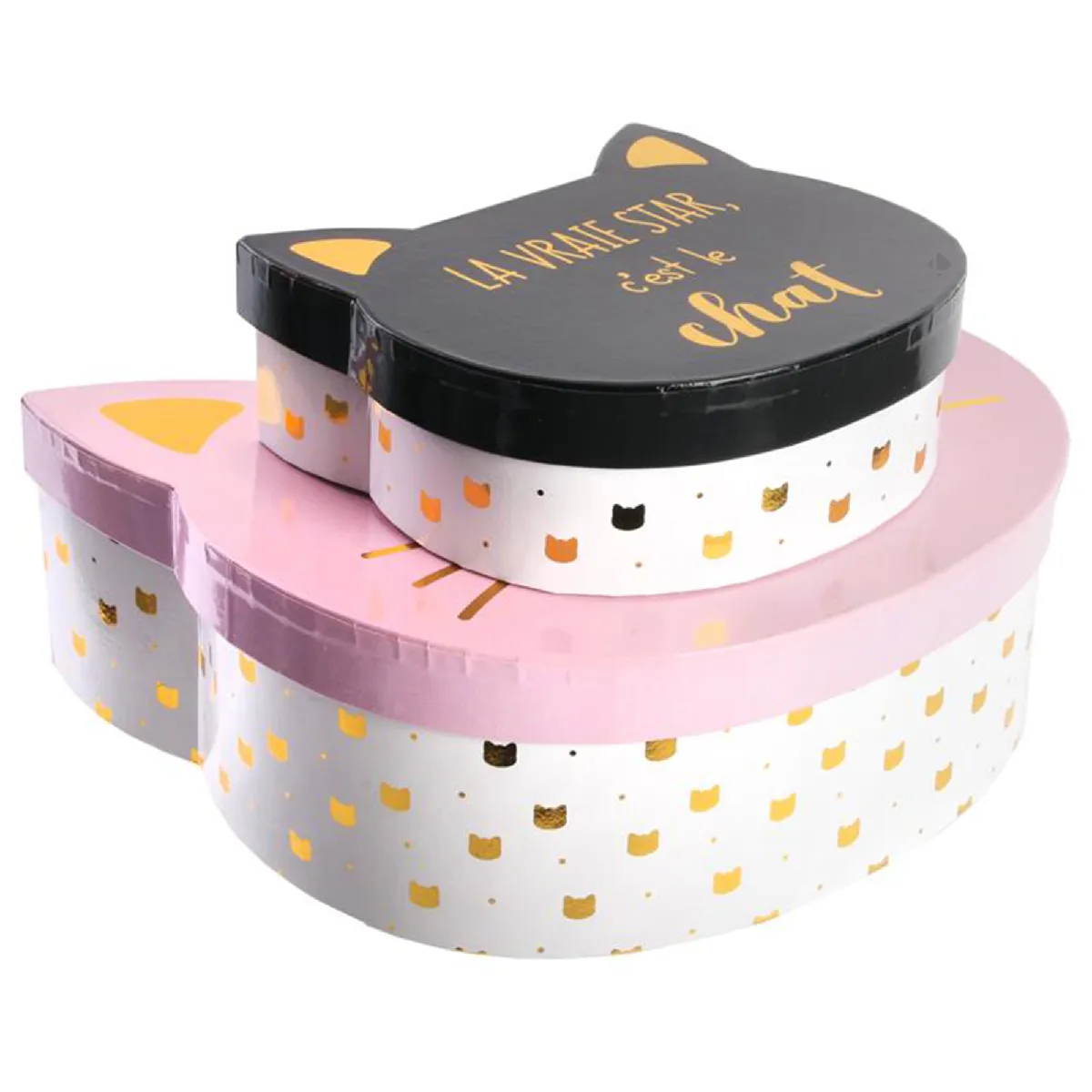 Lot de 2 boites de rangement pour enfant CAT