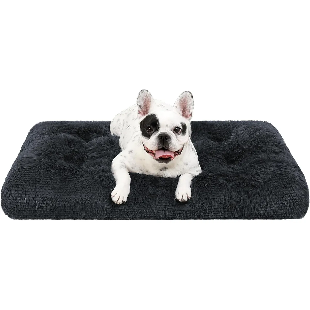 Panier Pour Chien Petite Taille, 60x45cm Gris Foncé