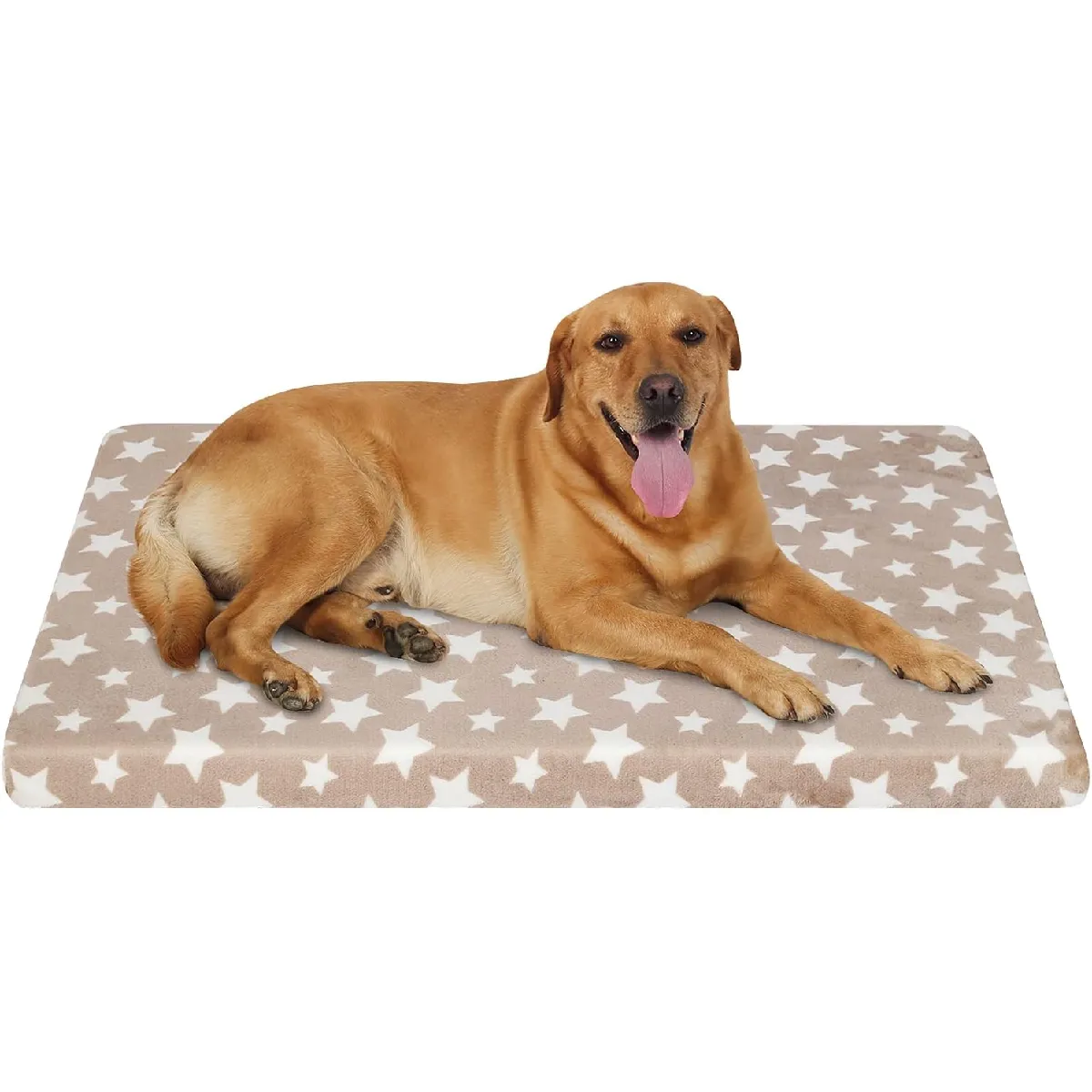 Panier Chien Réversible (frais Et Chaud) 90x60x7,5cm
