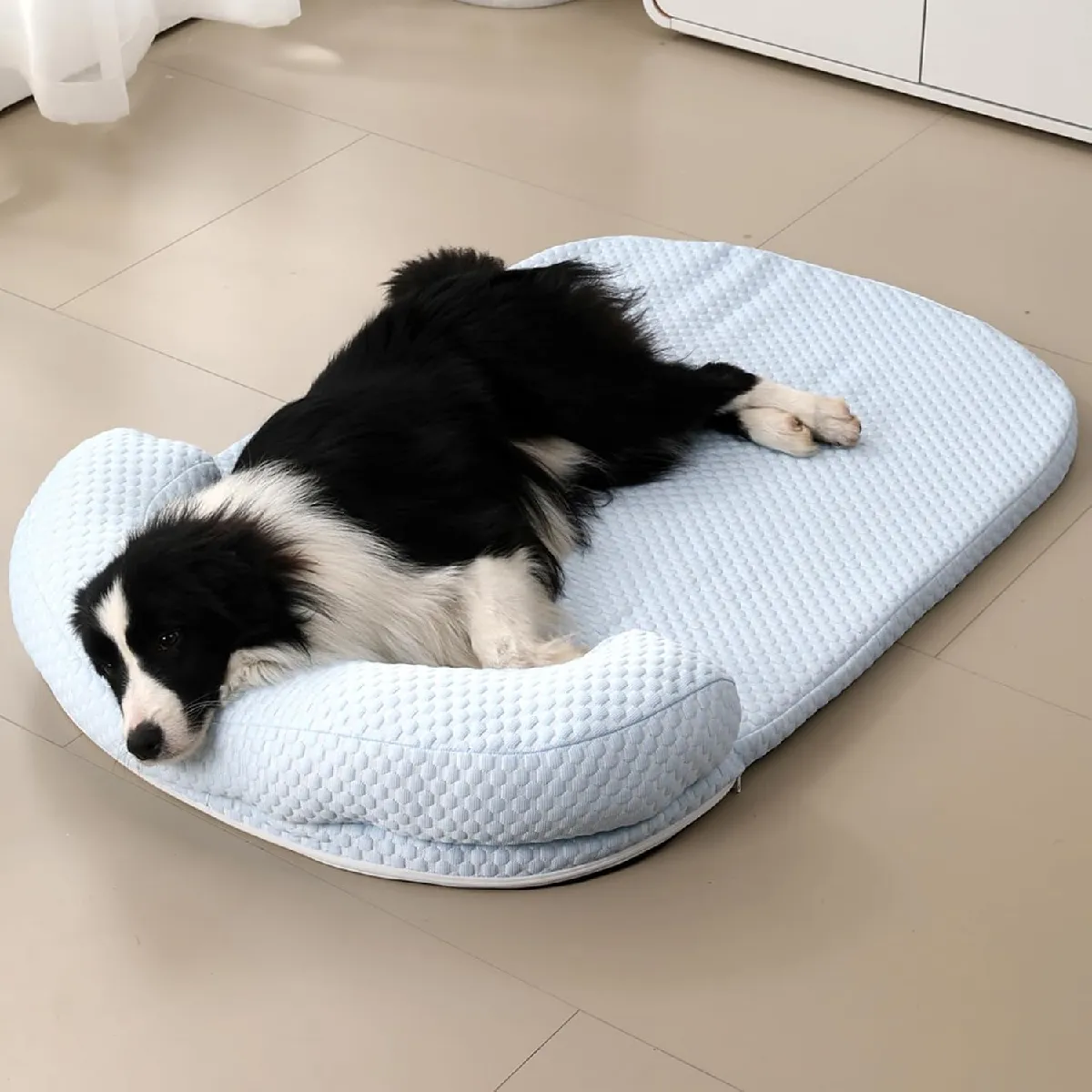 Panier Chien Orthopedique Bleu S
