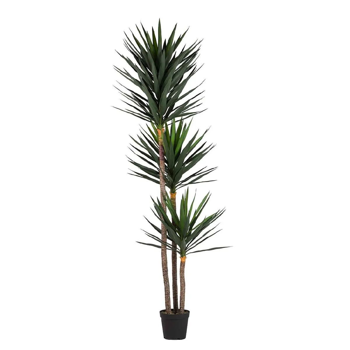 Plante Yucca en pot PVC, Plastique 70 x 70 x 250 cm