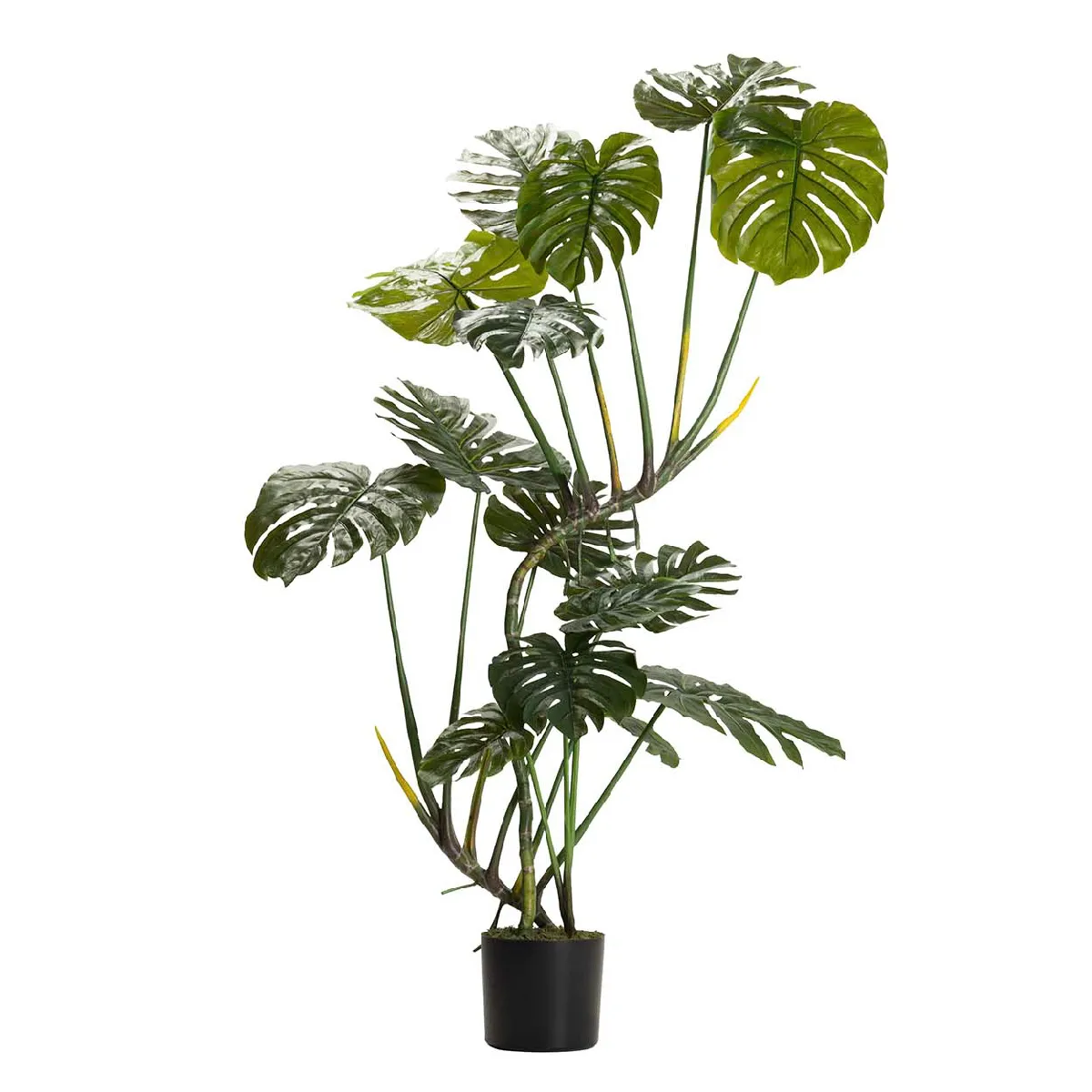 Plante Monstera PVC, Plastique 110x70x155 cm