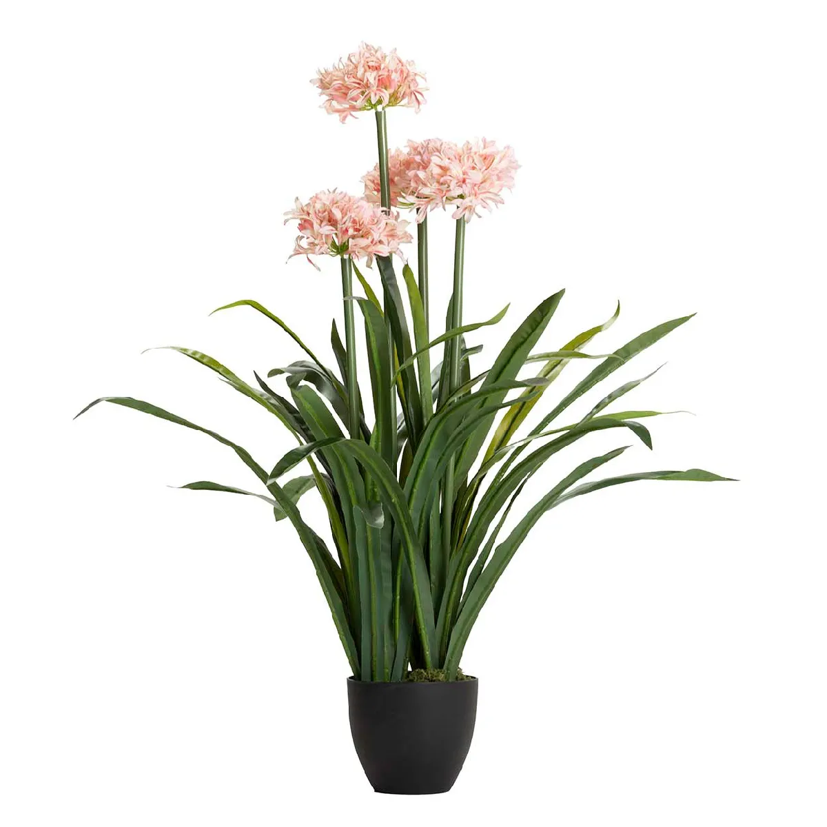 Narcisse PVC, Plastique Rose, Noir, Vert 70 x 70 x 100 cm