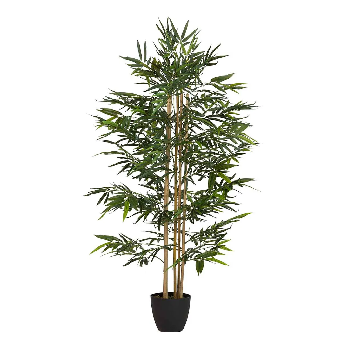 Plante de bambou avec pot 80x80x150 cm