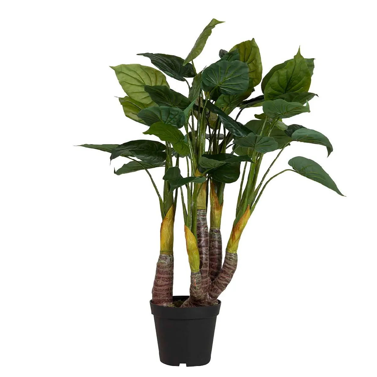 Plante de taro artificielle avec pot 55 x 55 x 125 cm