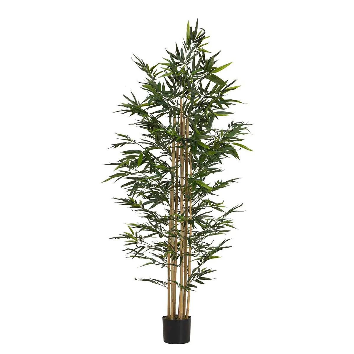 Plante de bambou avec pot 80 x 80 x 192 cm