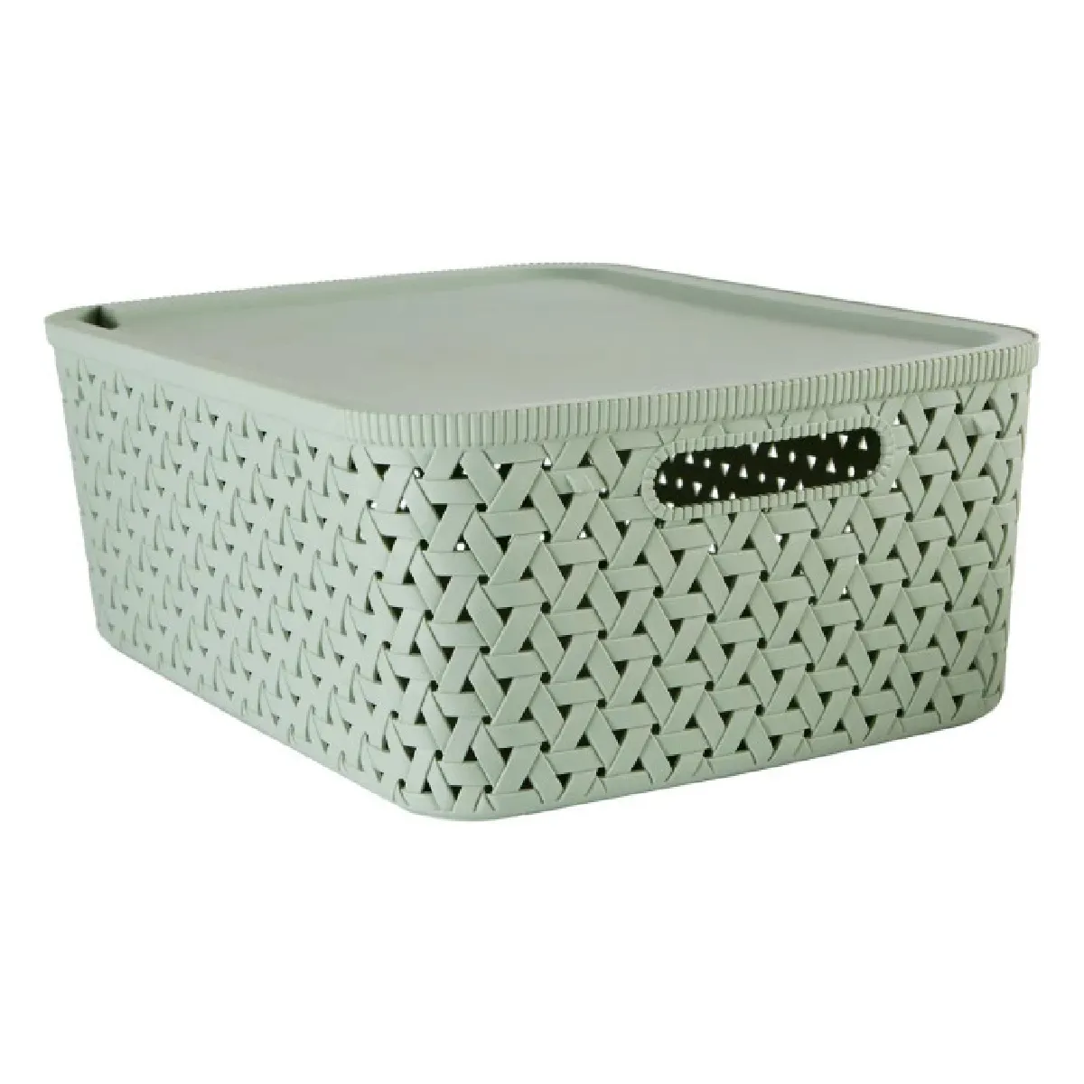 Panier "tressy" En Plastique Sauge 15l - 5five