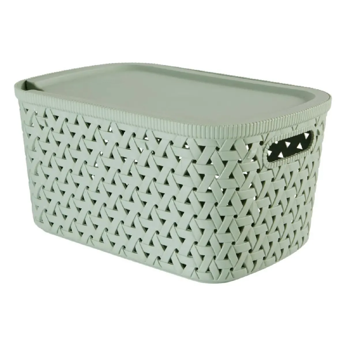 Panier "tressy" En Plastique Sauge 6,7l - 5five