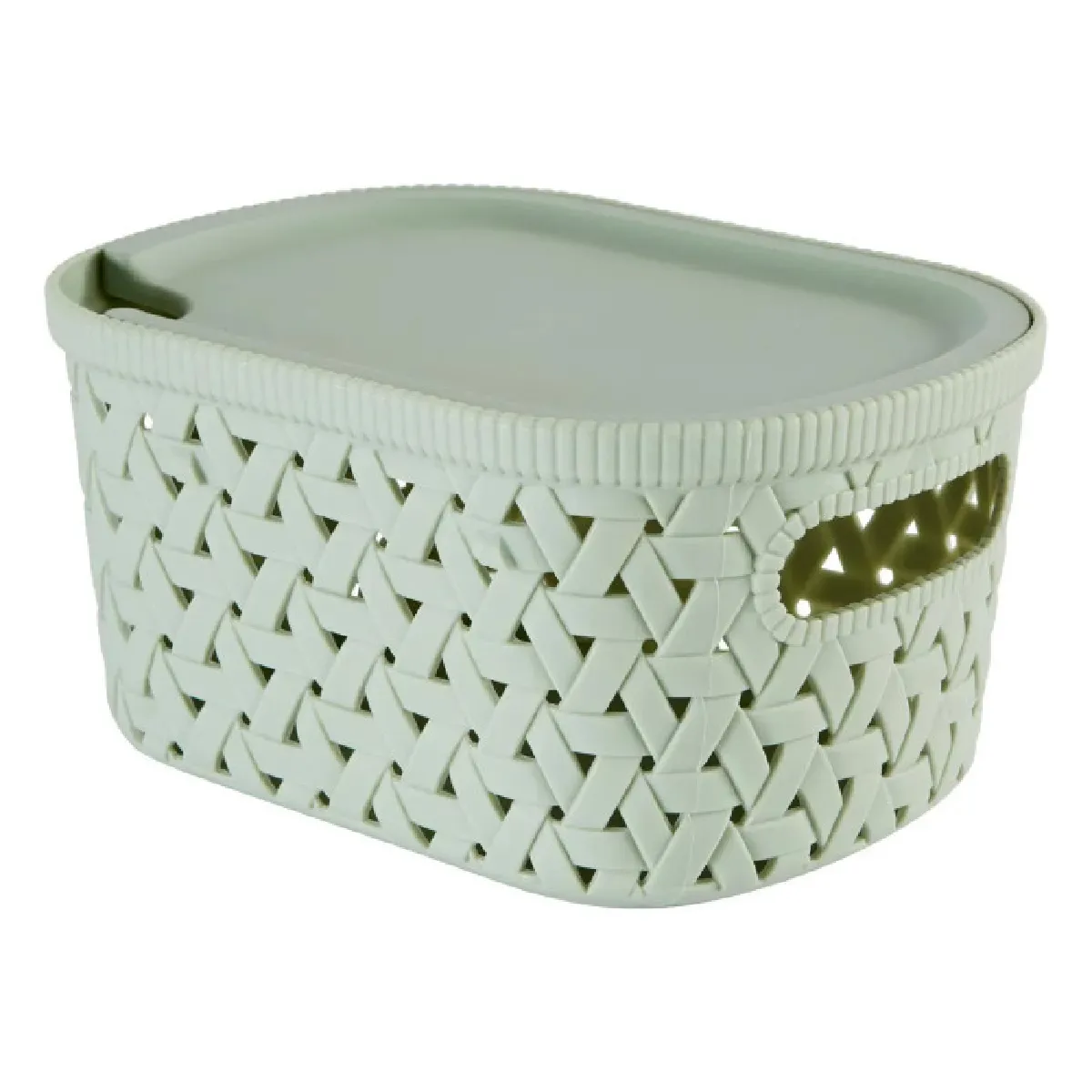 Panier "tressy" En Plastique Sauge 2,3l - 5five