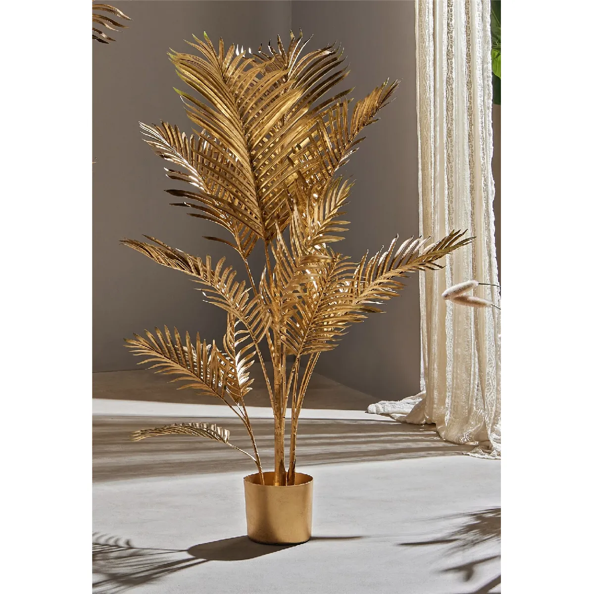 Kentia dorée 126 cm 85 x 126 cm