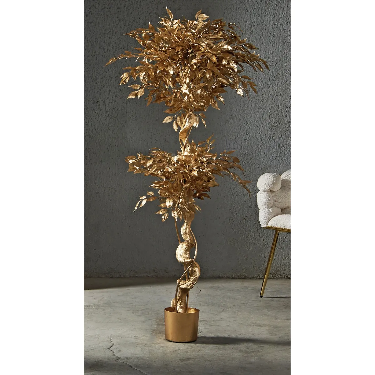 Ficus Benjamin Gold, plante de 154 cm (78 x 154 cm)