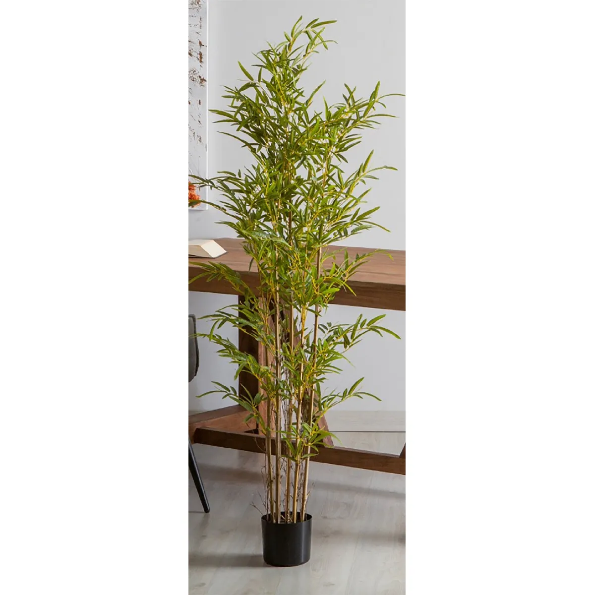 Plante de bambou 165 cm x 165 cm